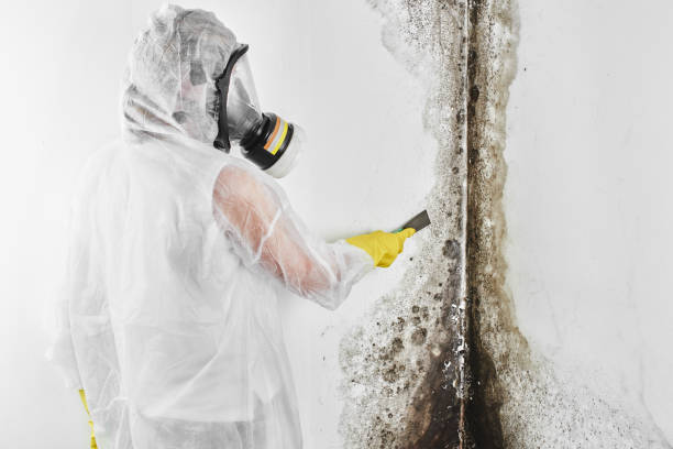 Water Damage Restoration in Dranesville, VA