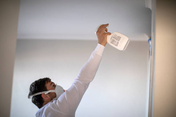 Best Home Mold Removal  in Dranesville, VA