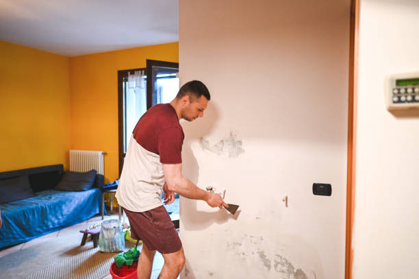 Best Mold Damage Repair  in Dranesville, VA