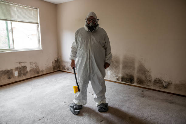 Best Mold Cleaning Services  in Dranesville, VA