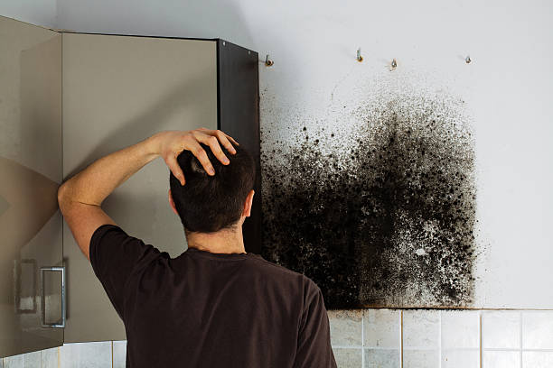 Best Mold Cleaning Services  in Dranesville, VA